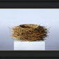 Nest