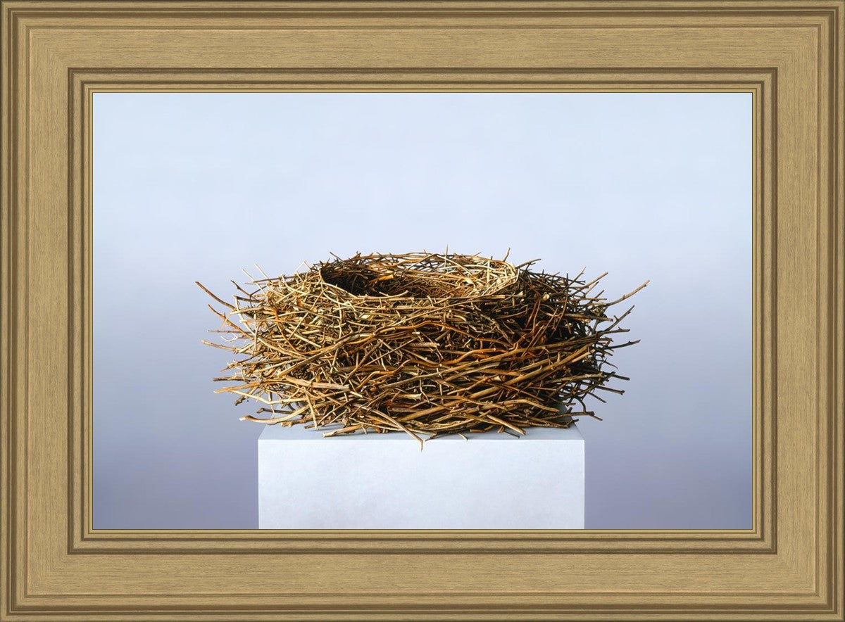 Nest