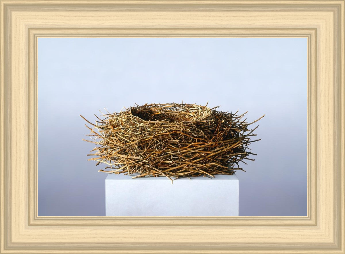 Nest