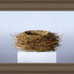 Nest