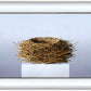 Nest