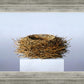 Nest