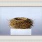 Nest