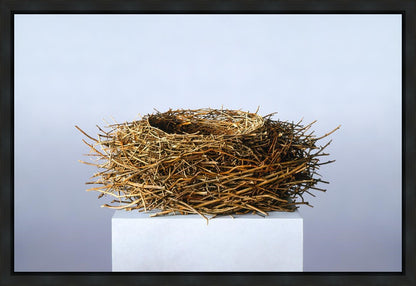 Nest