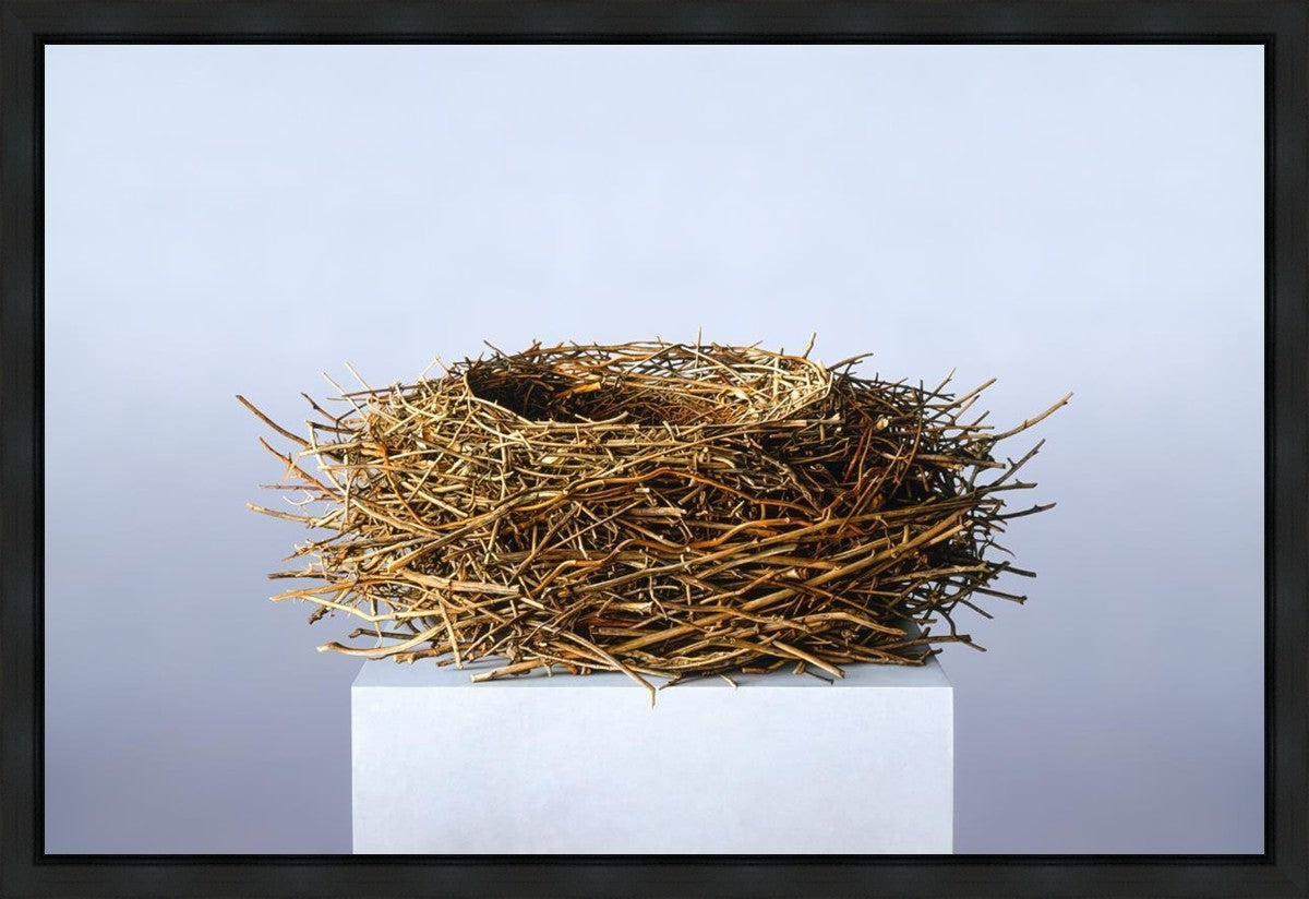 Nest Gallery Wrap