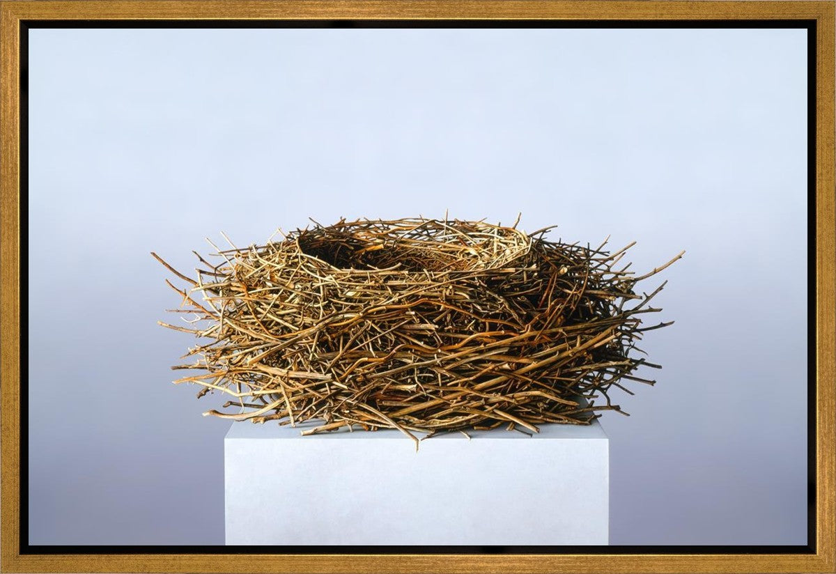 Nest Gallery Wrap