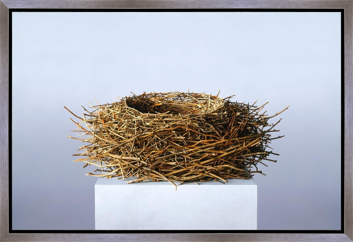 Nest Gallery Wrap