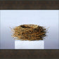 Nest