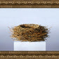 Nest