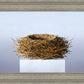 Nest
