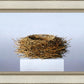 Nest