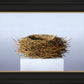 Nest