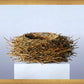 Nest