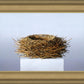 Nest