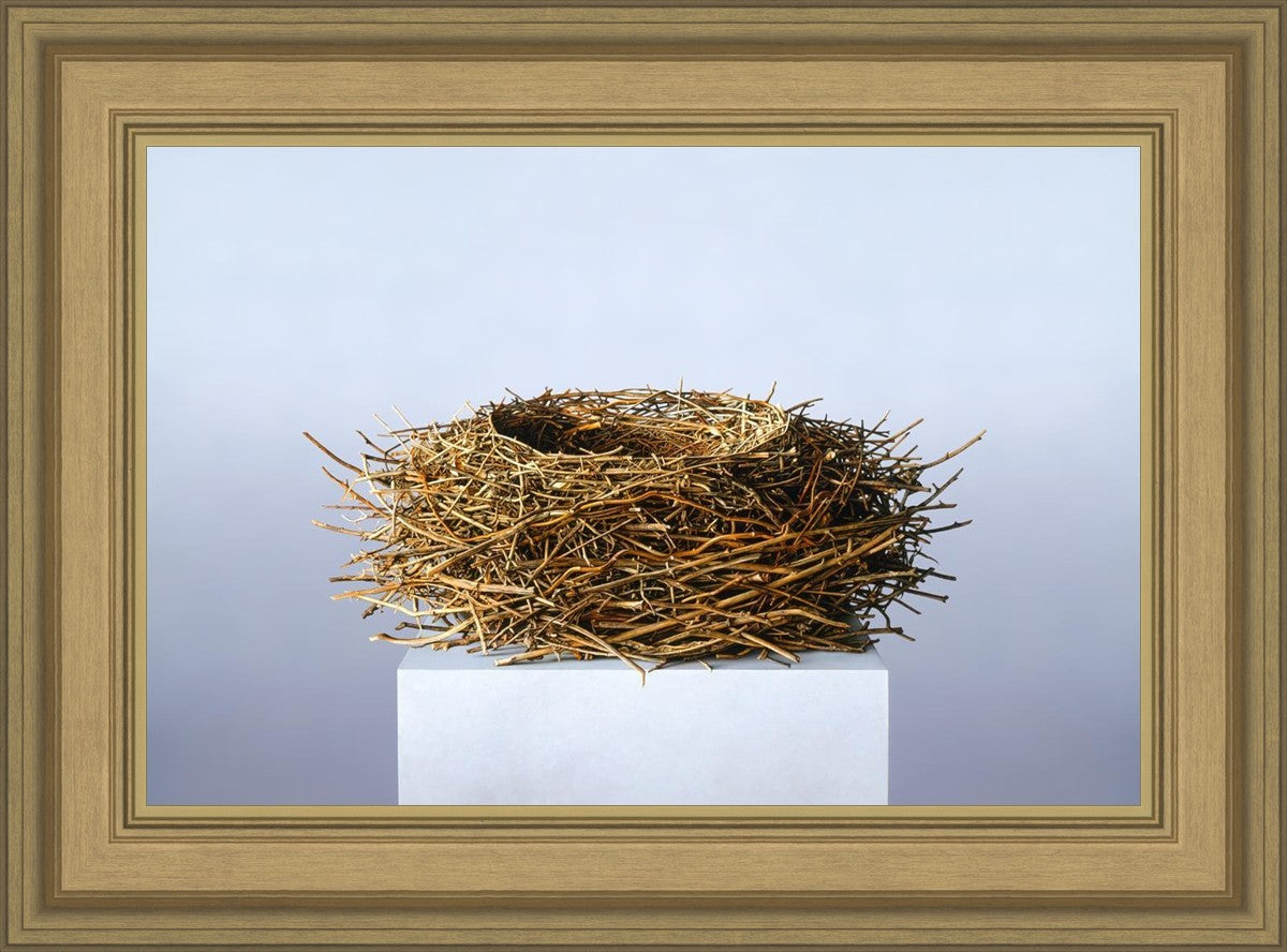 Nest