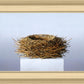 Nest