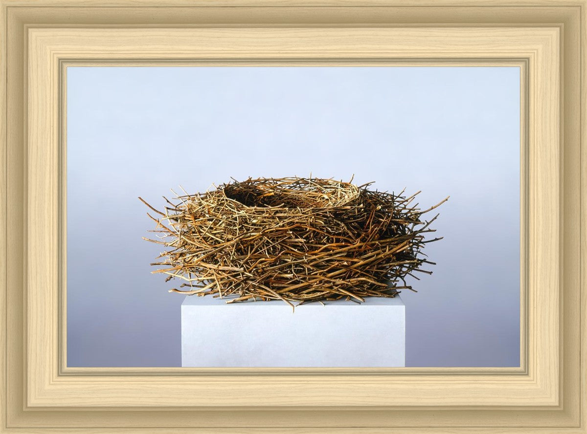Nest