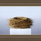 Nest