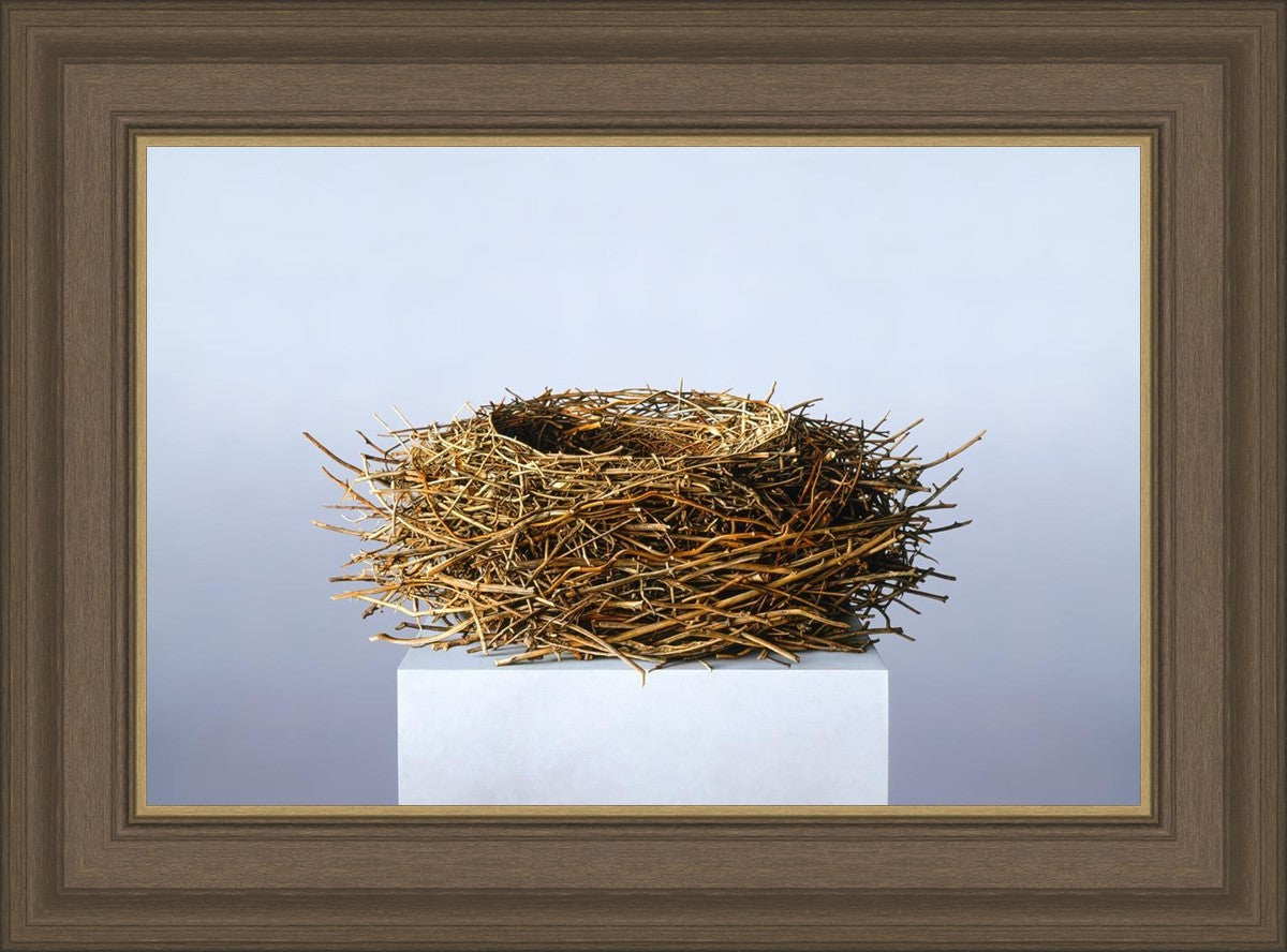 Nest