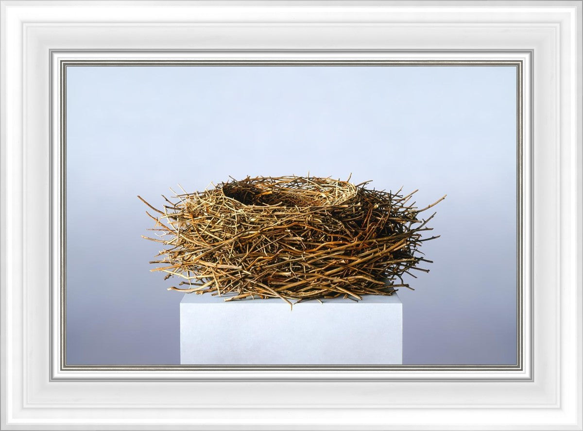 Nest