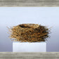 Nest