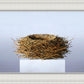 Nest