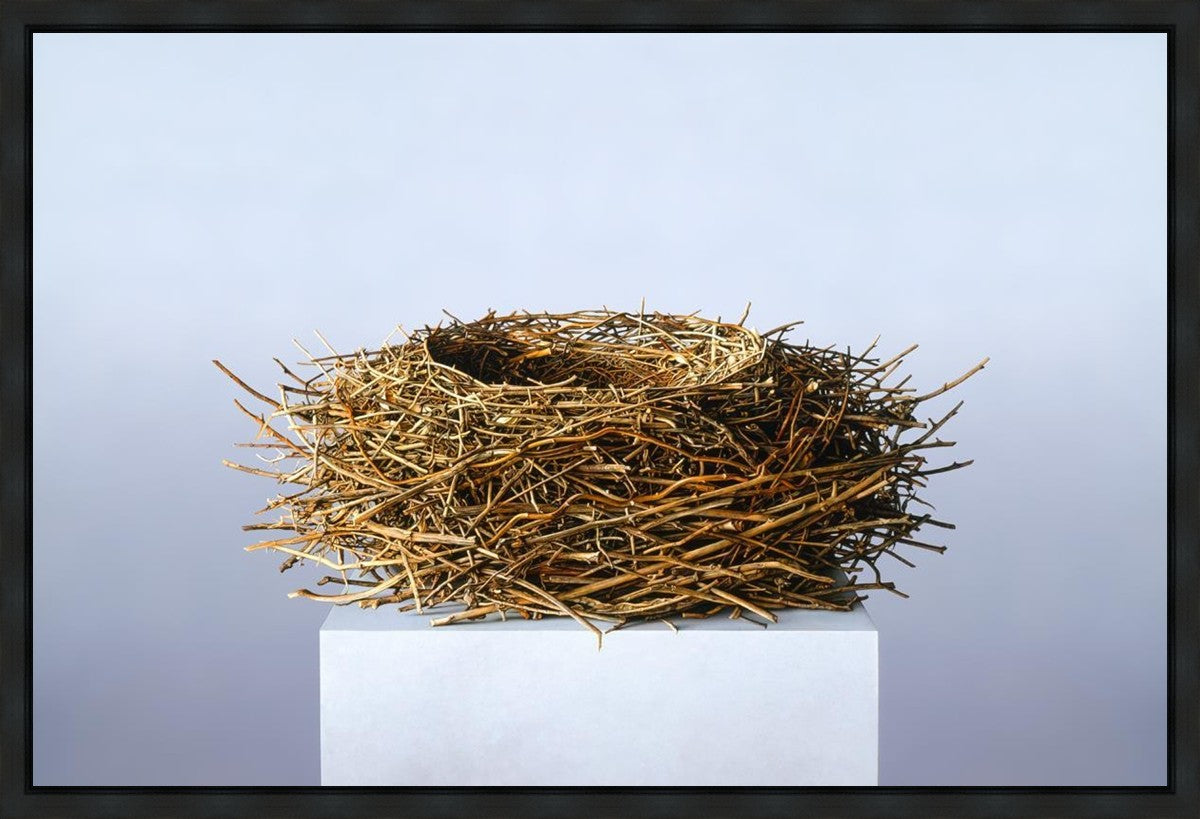 Nest Gallery Wrap