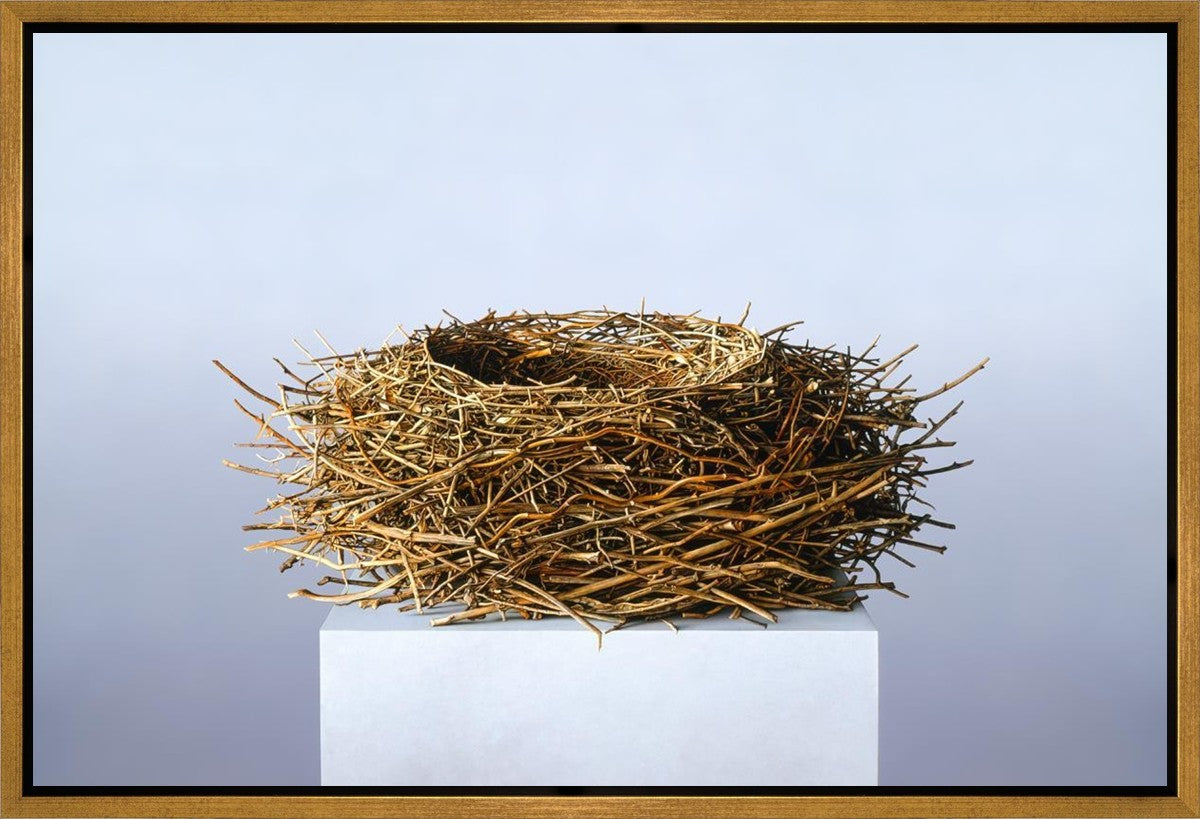 Nest Gallery Wrap