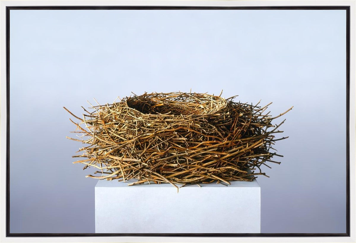 Nest Gallery Wrap