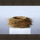 Nest