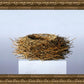 Nest