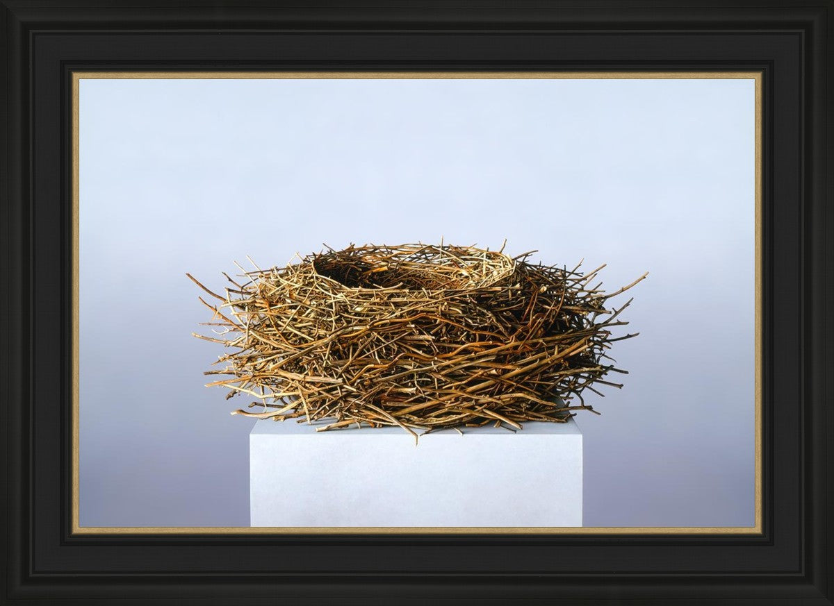 Nest