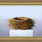 Nest