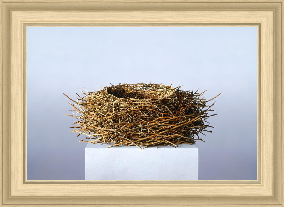 Nest