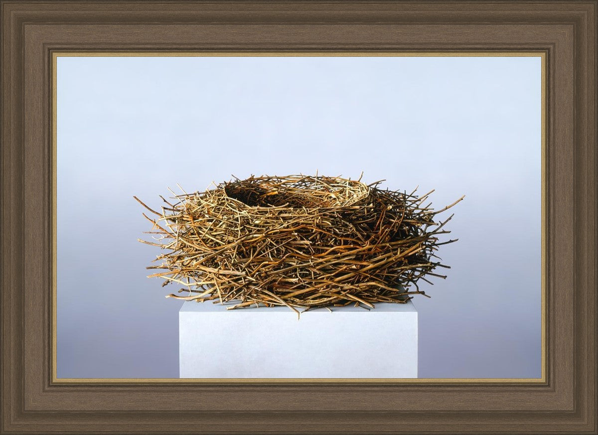 Nest