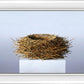 Nest