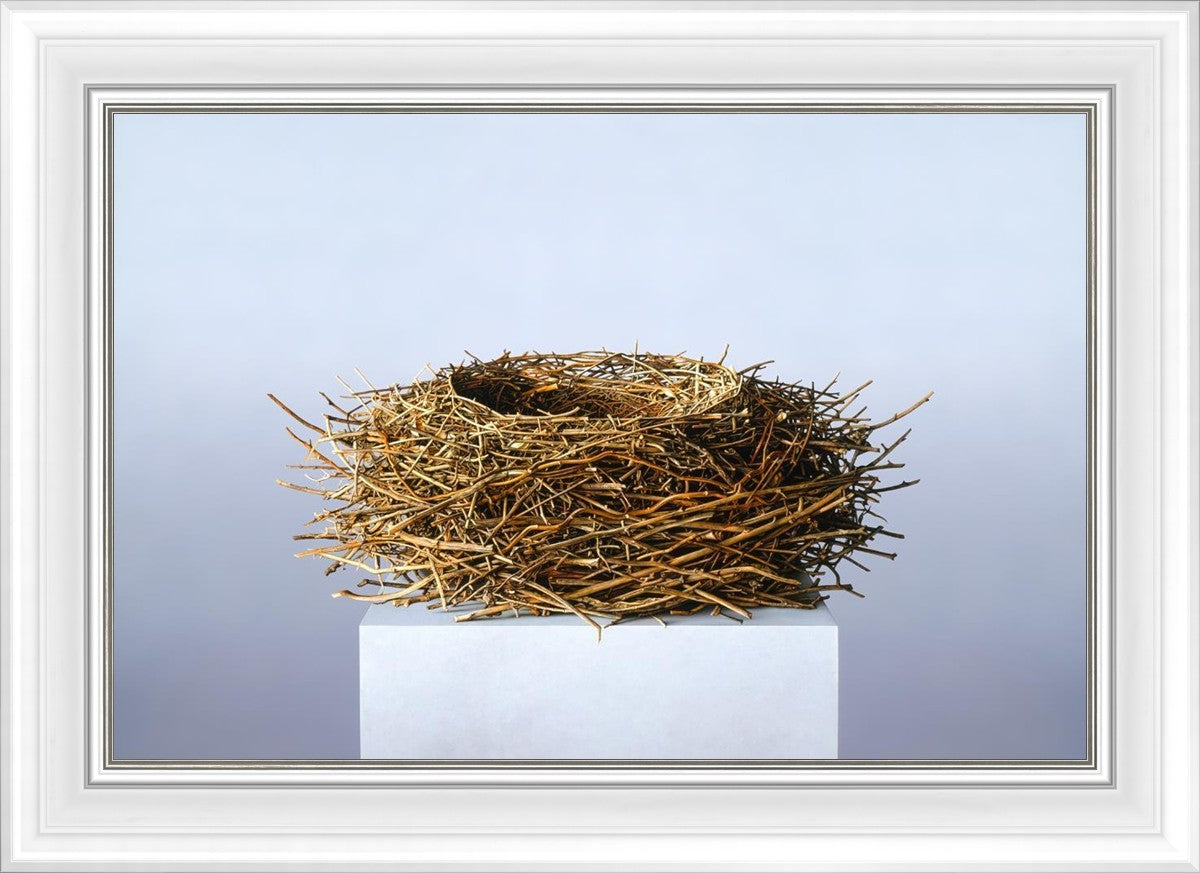 Nest