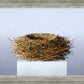 Nest