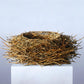 Nest