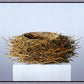Nest