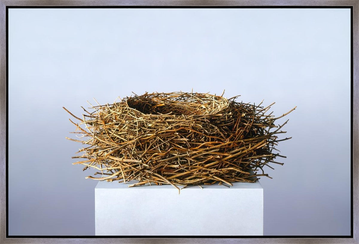 Nest Gallery Wrap