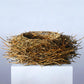 Nest