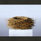 Nest