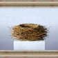 Nest
