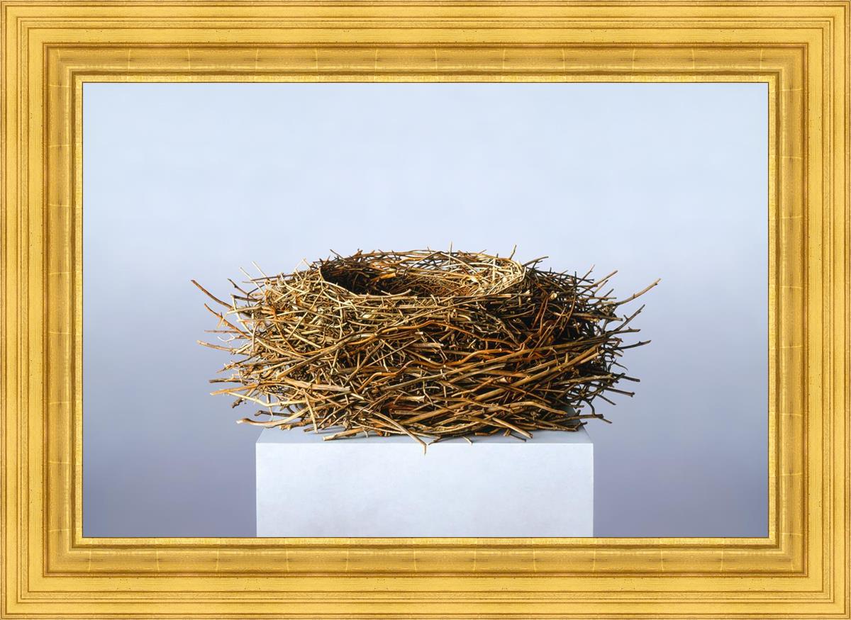 Nest