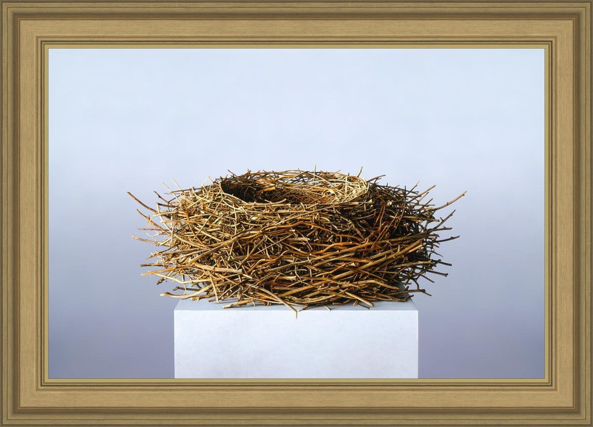 Nest