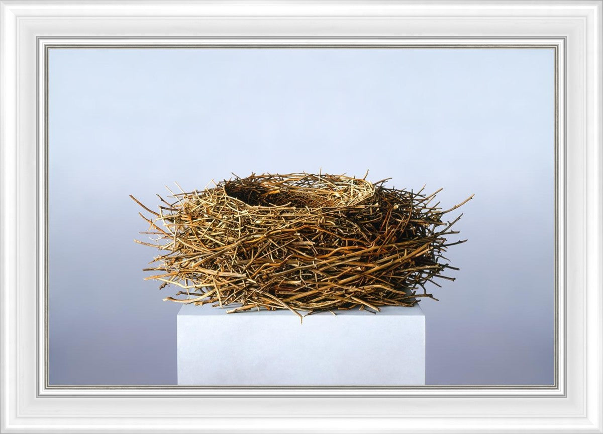 Nest