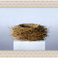 Nest