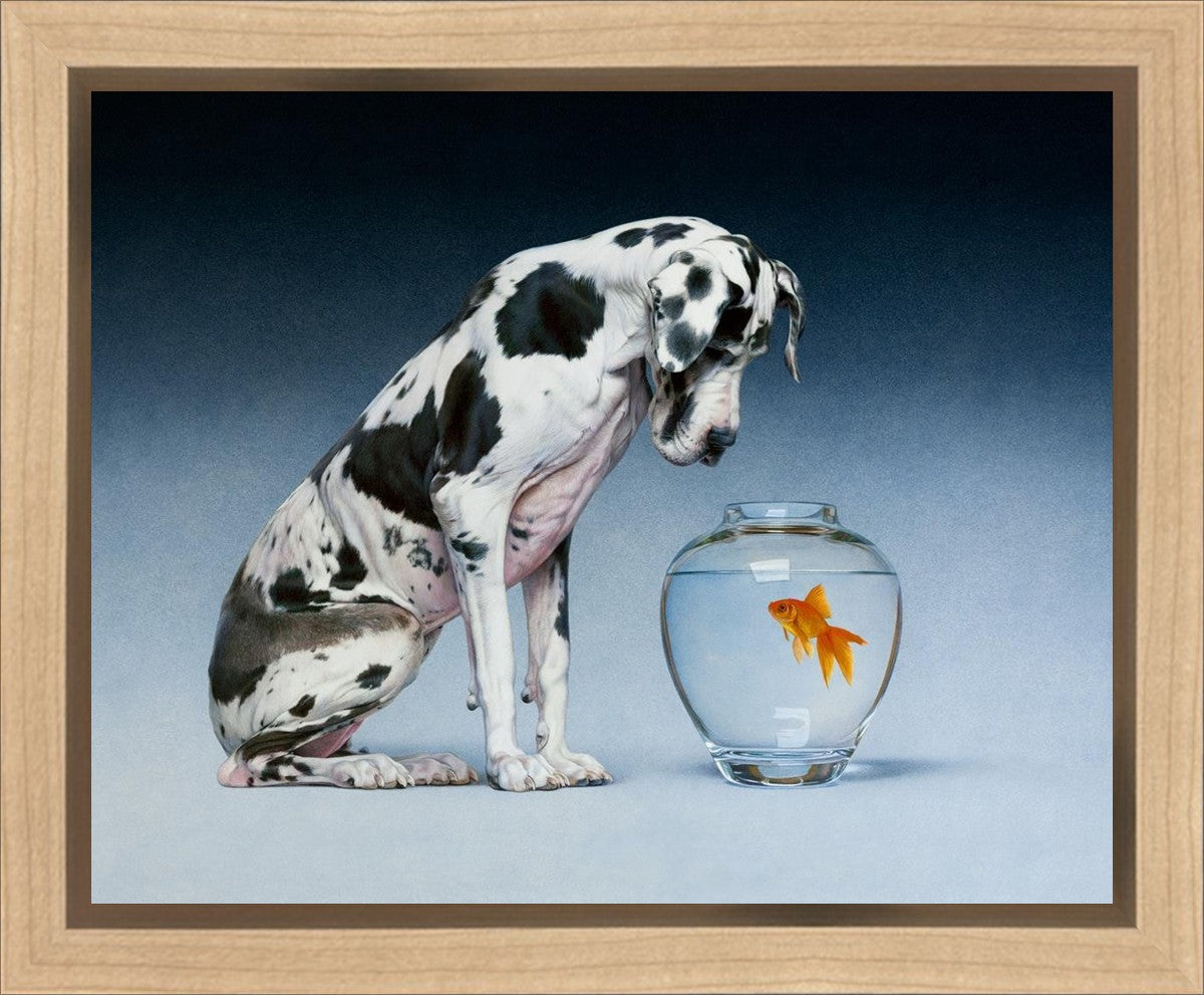 Dane and Fish Gallery Wrap