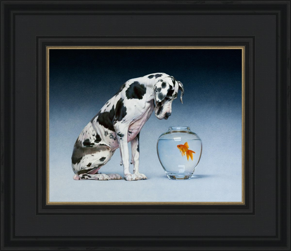 Dane and Fish